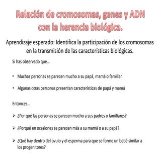 Relacion entre adn, cromosomas y genes