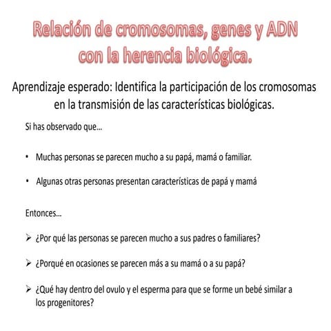 Relacion entre adn, cromosomas y genes