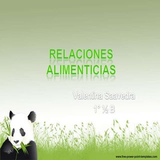 Relaciones alimenticias