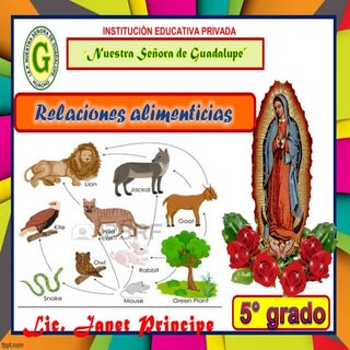 Relaciones alimenticias