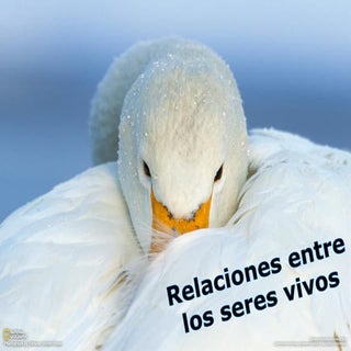 Relacion intraespecifica e interesp...