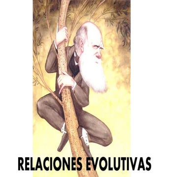 Relaciones evolutivas