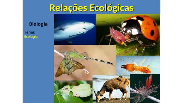 Relacoes Ecologicas HARMÔNICAS E DESARMÔNICAS.ppt