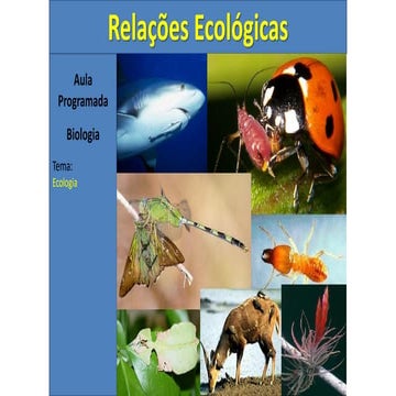 Aula relações ecológicas | PPT