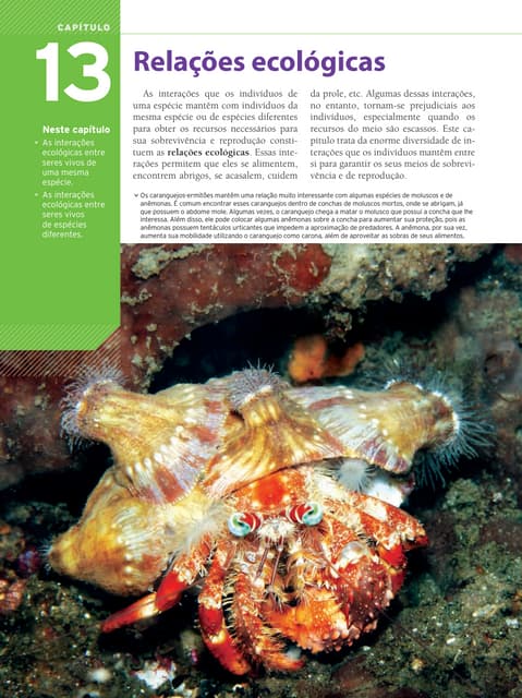 Relacoes ecologicas modulo 9ano