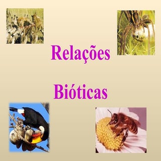 Relacoes Bioticas