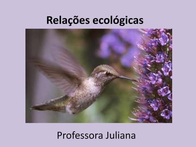 Relações ecológicas