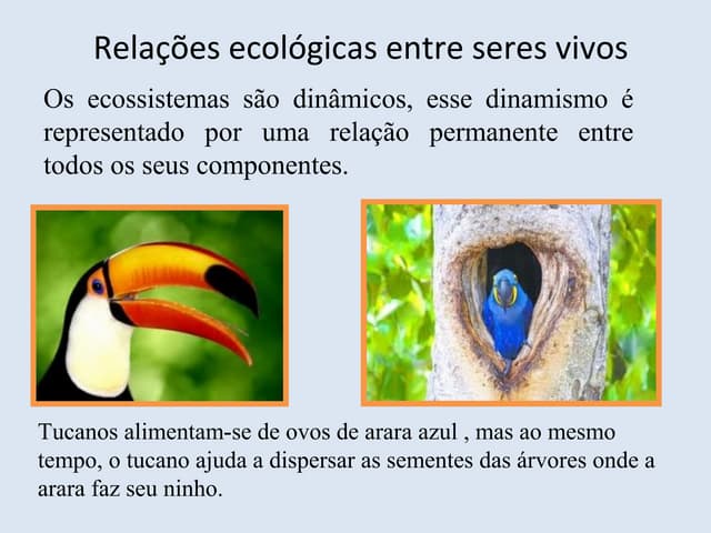 Relações ecológicas entre seres vivos