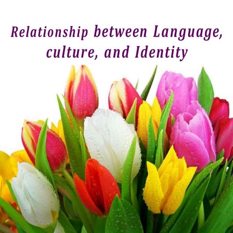 relationshipbetweenlanguagecultureandidentity-140502071303-phpapp02 (1).pptx