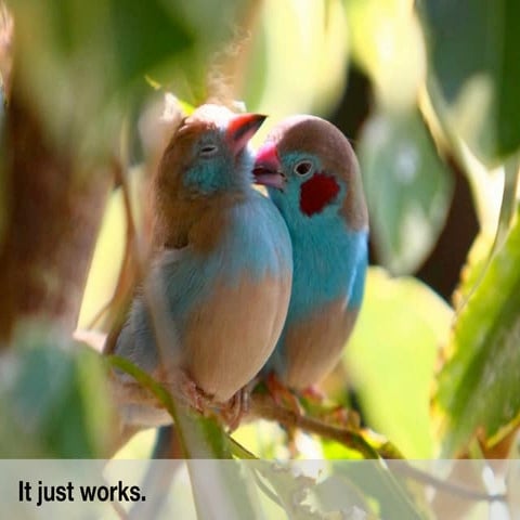 Relationships and Individuation