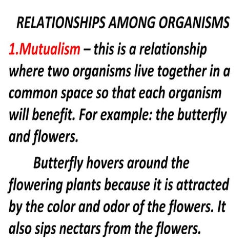 Relationships among organisms