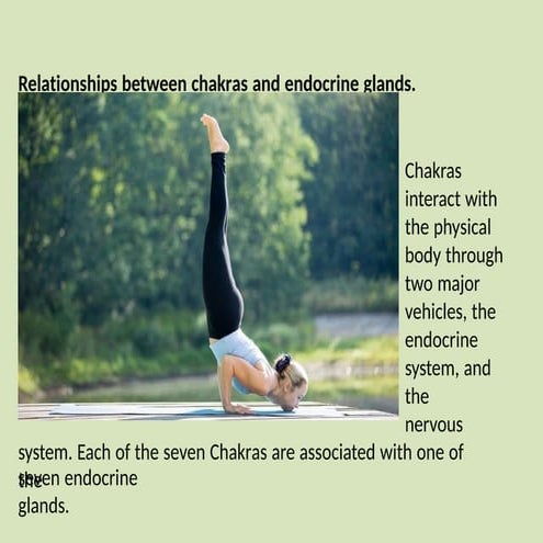 relationships between chakras and endocrine glands.pptx