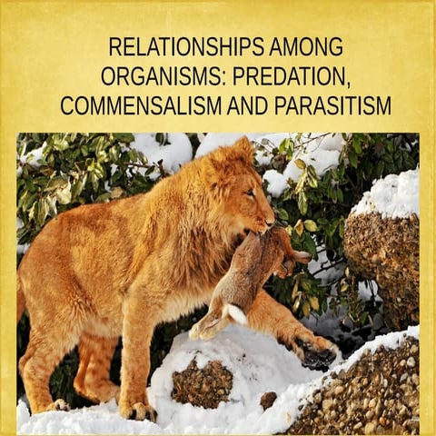 Relationships part 1