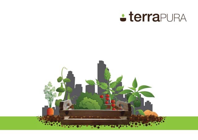 Relatório Publicidade terrapura