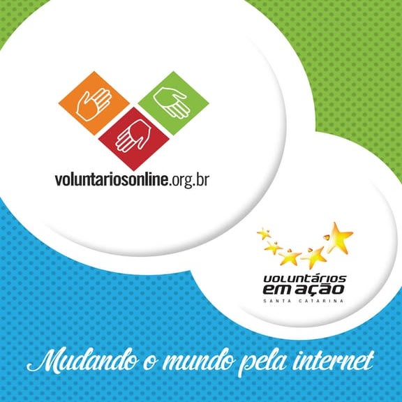 Relatório Portal Voluntários Online 2015
