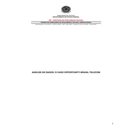 Relatorio Protogenes | PDF