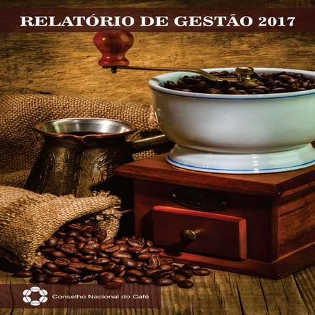Relatorio anual de gestao   2017