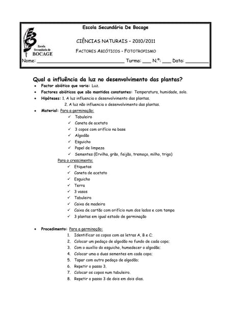 Relatório de Fototropismo....