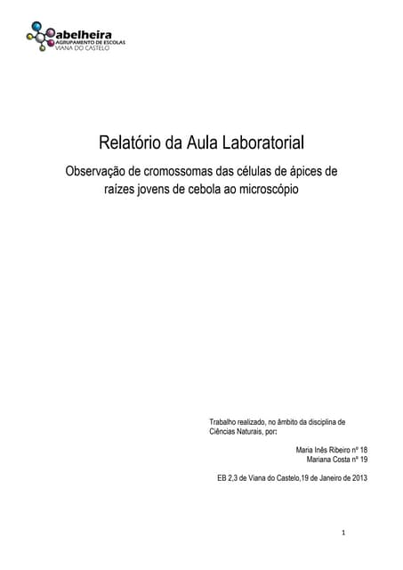 Relatório da aula experimental cn c...