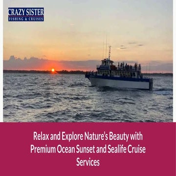 Relax and Explore Nature's Beauty with Premium Ocean Sunset and Sealife ...