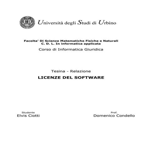 Relazione licenze d'uso del software