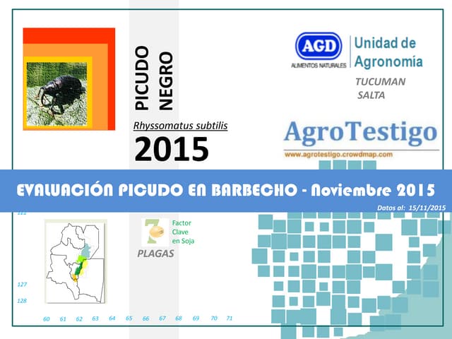 Relevamiento Picudo Negro nov15 NOA...