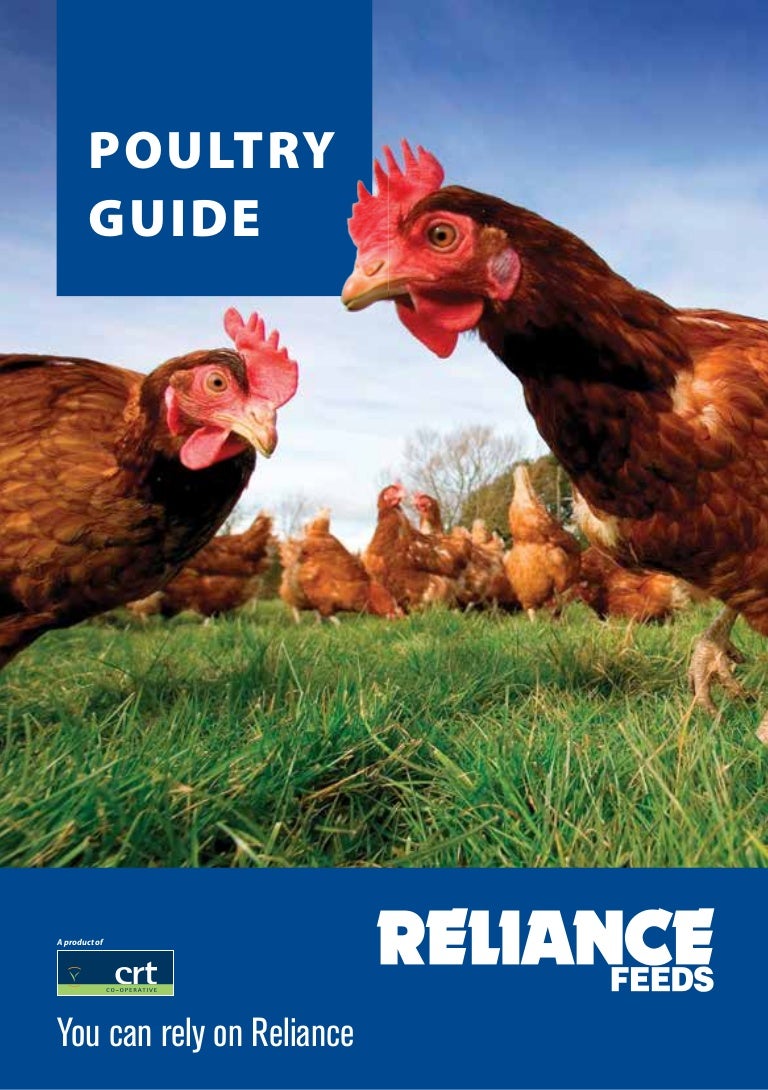 These 3 States Are Feeding America The Ultimate Poultry Guide - 814s67j