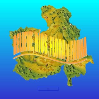 Relieve de castila la mamcha tema 1...