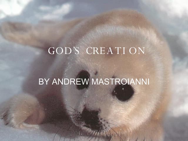 Religious Literacy Assessment