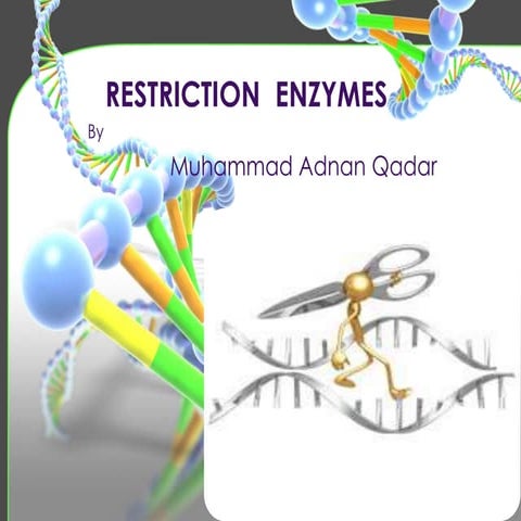 Restriction Endonucleases/Enzymes/PCR/DNA