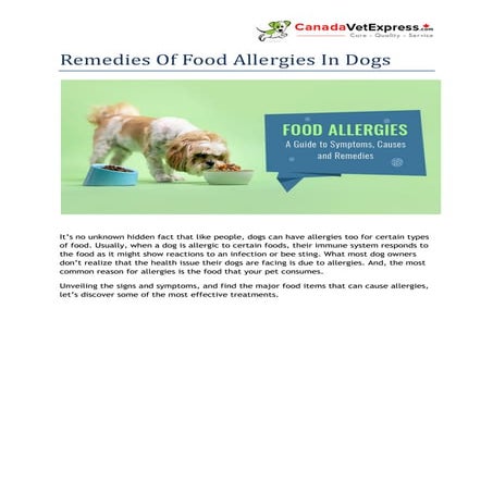 Stunning Natural Remedies For Cat Dog Food Allergy image