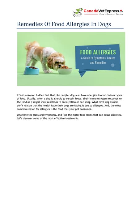 Stunning Natural Remedies For Cat Dog Food Allergy image