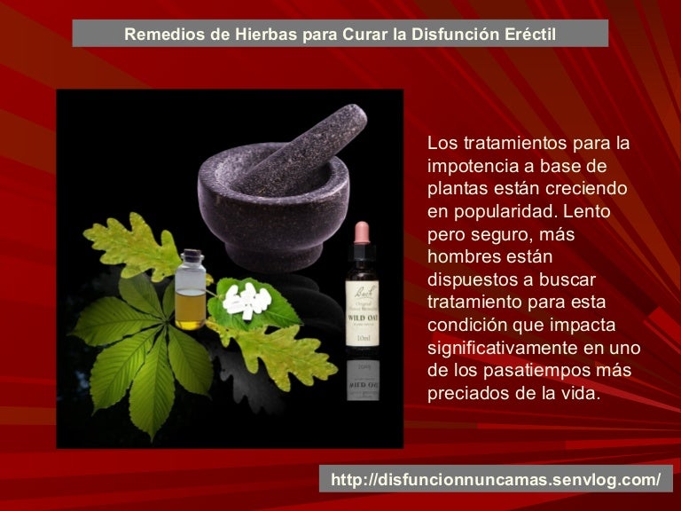 qué hierbas son buenas para la disfunción eréctil qué hierbas son buenas para la disfunción eréctil