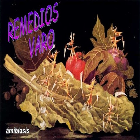 Biografía de REMEDIOS VARO | PDF