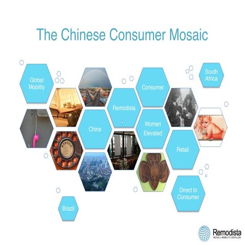 Remodista Think Tank - The Chinese Consumer Mosaic 1.0