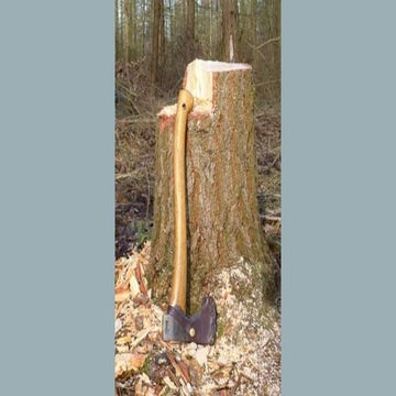 Remote learning teachers version 25 min