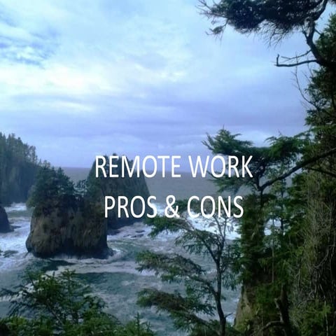 Remote Working - the pros and cons