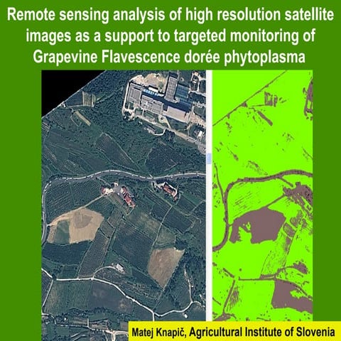 Remote sensing agriculture