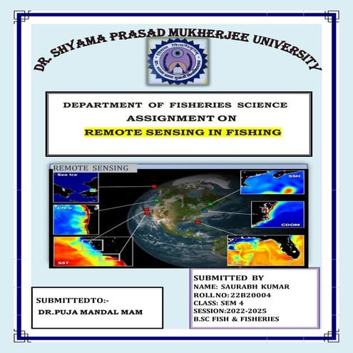 The Remote Sensing technique evolution in Aquaculture