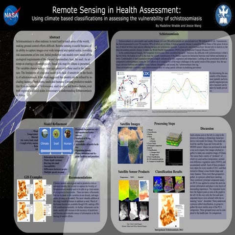 Remote Sensing Health Assessment