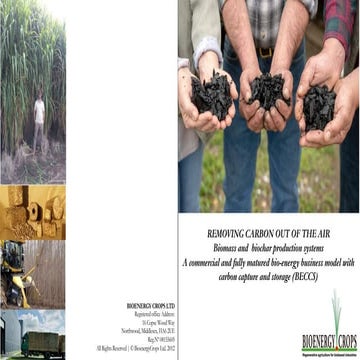 Removing carbon out of the air by bioenergy crops compressed