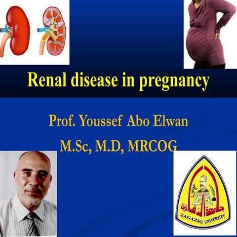 Renal disease-in-pregnency