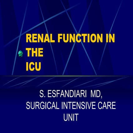 Renal Function Iin ICU