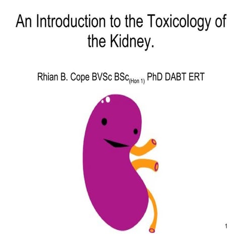Urinalysis | PPT