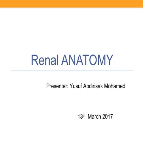 Renal anatomy