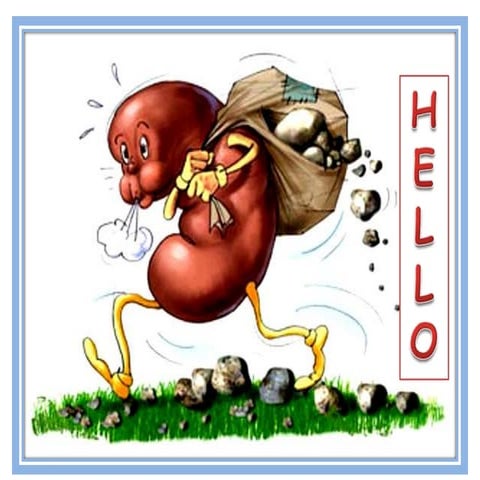 Renal calculi ppt