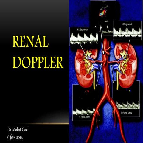 Renal doppler