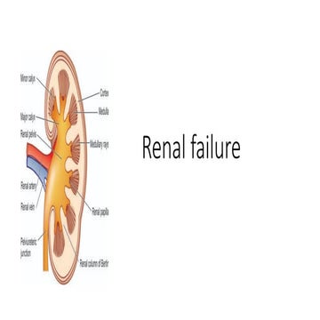 Pathophysiology of Renal failure | PPTX