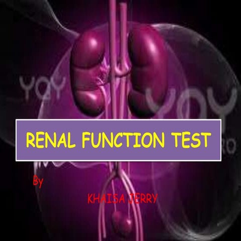 Renal function test