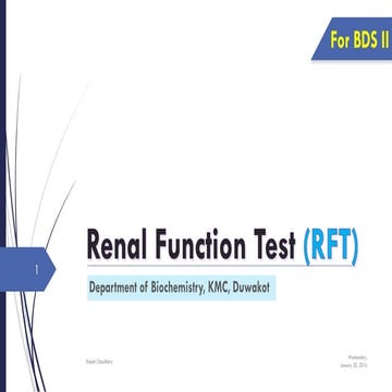 Renal function test